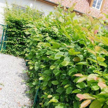 Whitley Cottage Condette ภายนอก รูปภาพ