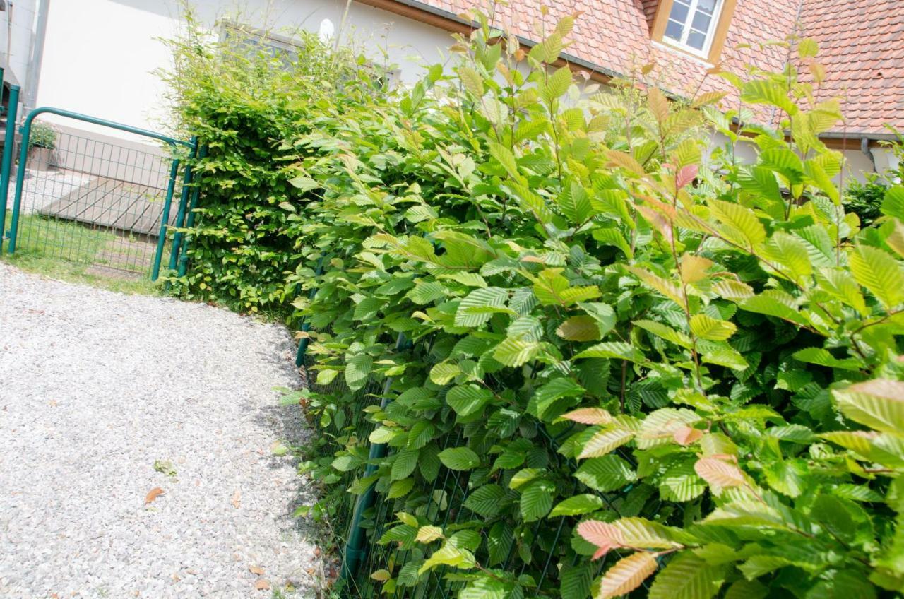Whitley Cottage Condette ภายนอก รูปภาพ